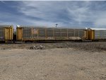 TTGX 987171